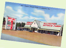 Casper's Alligator and Ostrich Farm - 1950s Florida roadside attraction